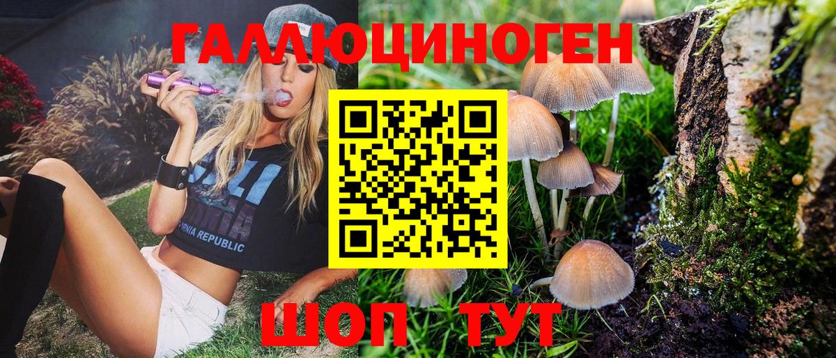 Псилоцибиновые грибы MAGIC MUSHROOMS  Вход с VPN  как найти   Полевской 